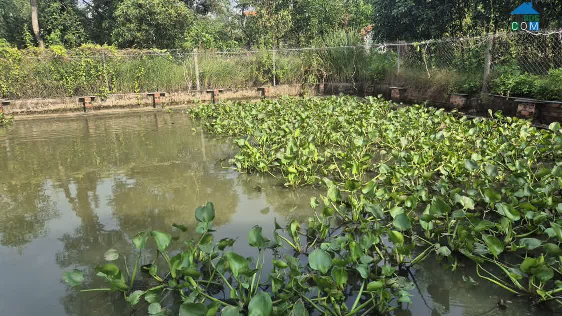 Ảnh Bán đất Phường Long Bình Tân diện tích 1ha giá chỉ 30 tỷ 0