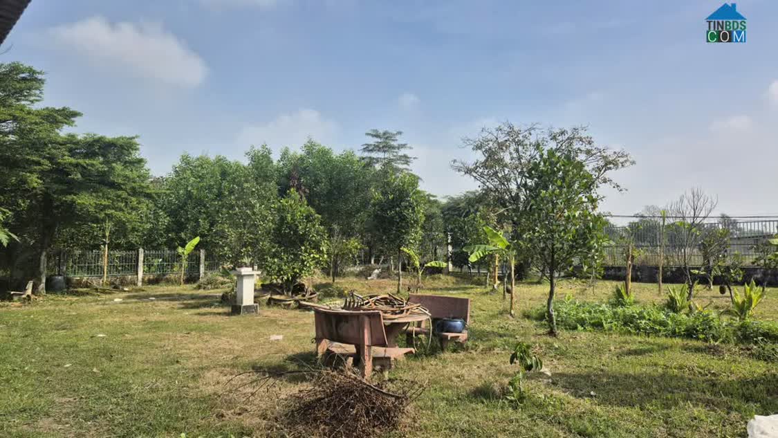 Ảnh Bán đất Phường Long Bình Tân diện tích 1ha giá chỉ 30 tỷ 0