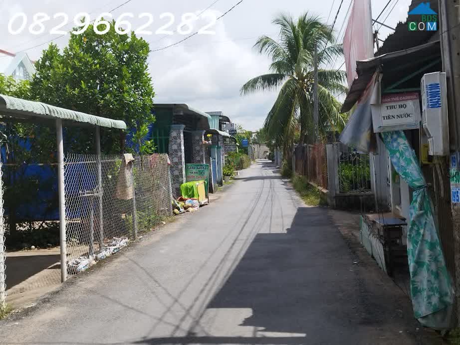 Ảnh Bán đất Sổ Hồng 171m2 (7x25m) MT 7m H. Tây Bắc đường Tân Xuân, Châu Thành, Đồng Tháp. Giá 600 triệu. 0