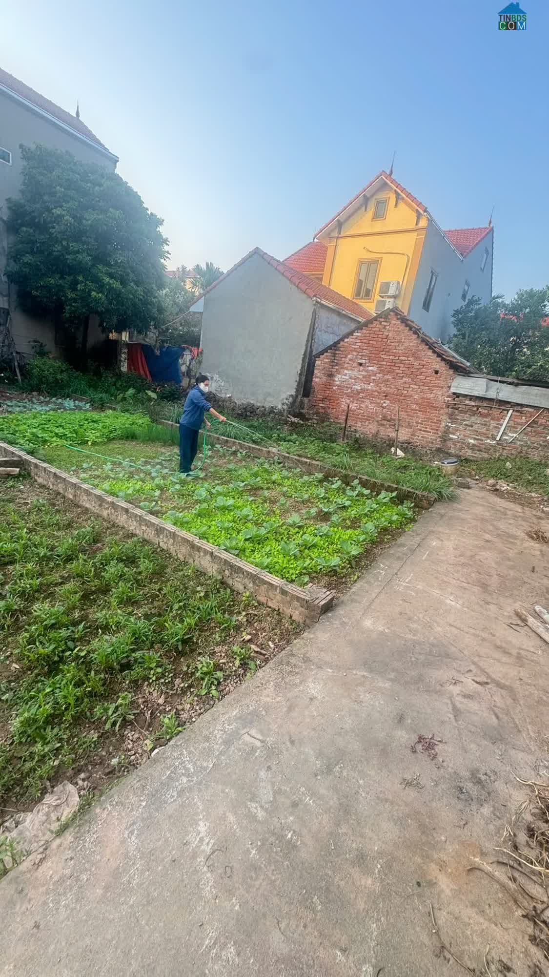 Ảnh Hàng F0 Rẻ Nhất Đan Phượng – 50M - Giá 5X Triệu/m2 0