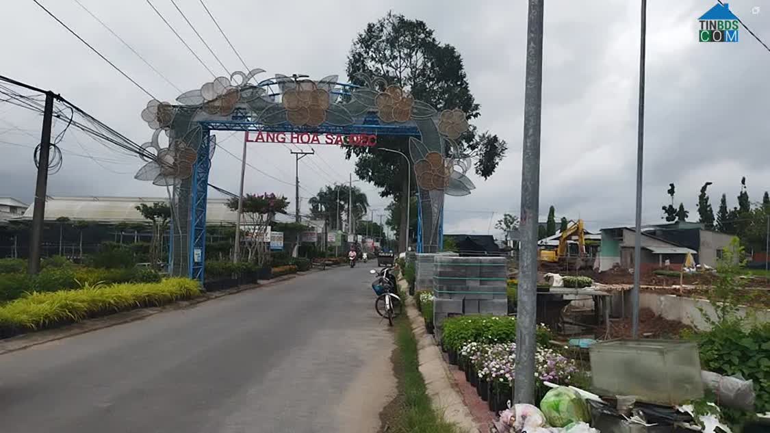Ảnh Bán đất thổ cư 196m2 Sổ Hồng Làng Hoa, Tân Quy Đông, TP. Sa Đéc, Đồng Tháp. Giá 3.2 tỷ. Hướng... 0