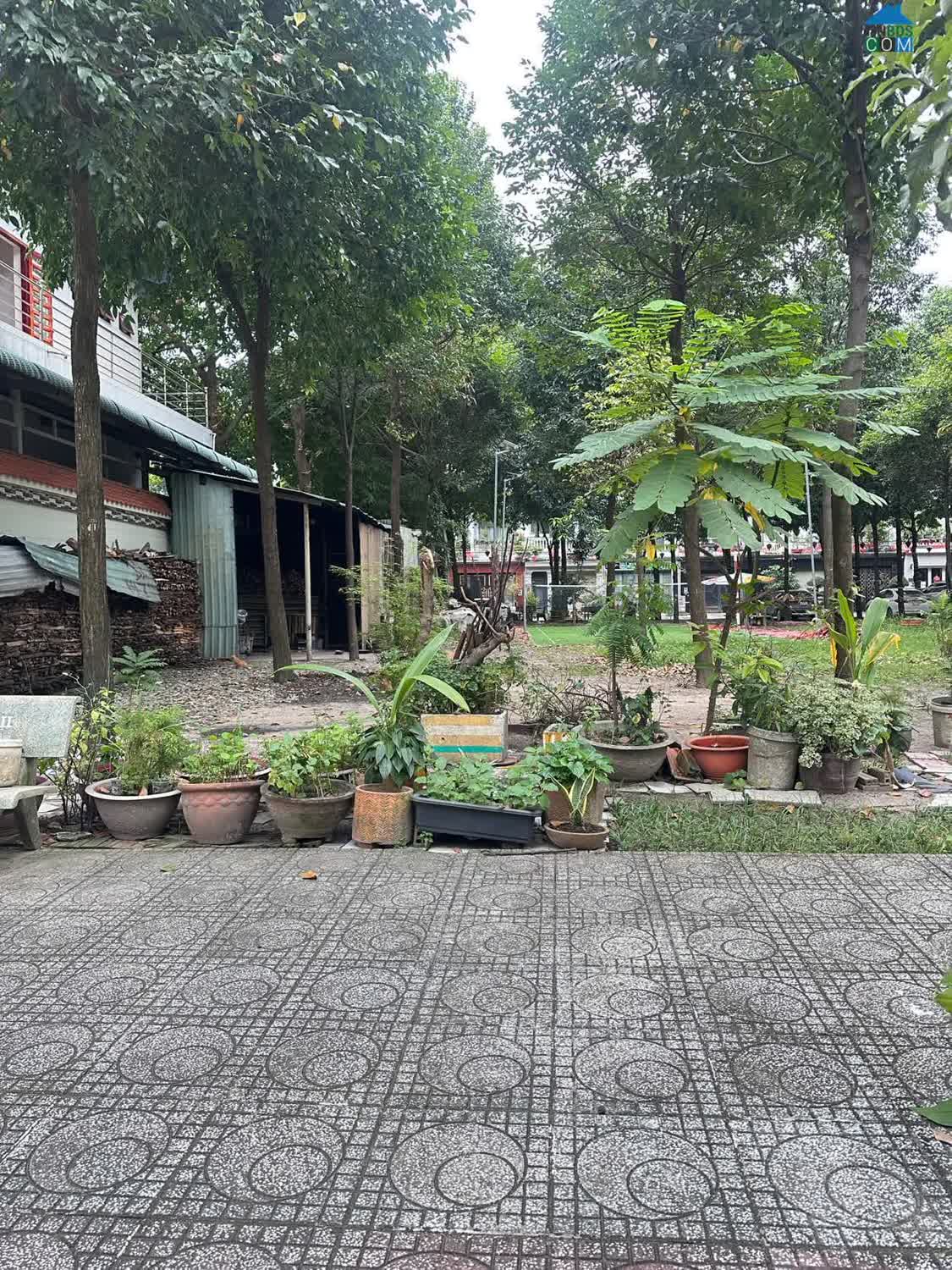 Ảnh Đất Thủ Dầu Một 5x25m – Mặt Tiền Đường 7m – Ô Tô Quay Đầu 0