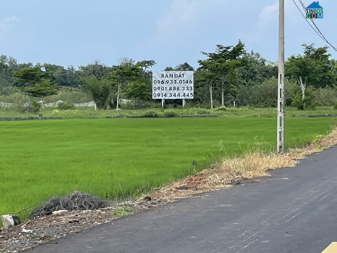 Ảnh Cc bán rẻ đất dự án khu đô thị, villa, khách sạn tại Phước Thuận - Hồ Tràm - Vũng Tàu 0