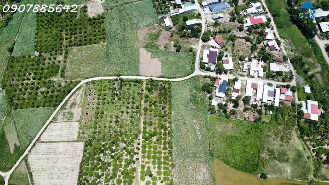 Ảnh Bán Đất Nông Nghiệp Tại Nha Trang Khánh Hoà 0