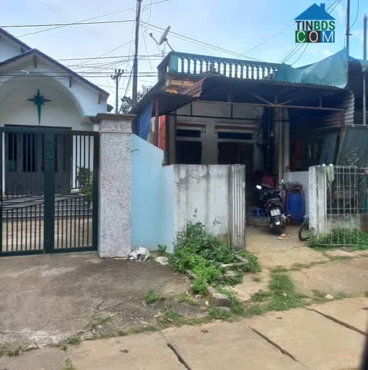 Ảnh Bán Đất Chính Chủ – Giá 790 Triệu (Có Thương Lượng) 0