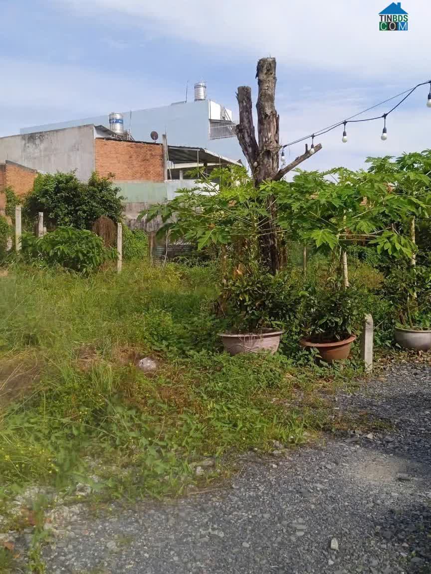 Ảnh Bán Đất Chính Chủ Vị Trí Đẹp Đường Tỉnh Lộ 825 – Đức Hòa Hạ, Long An 0