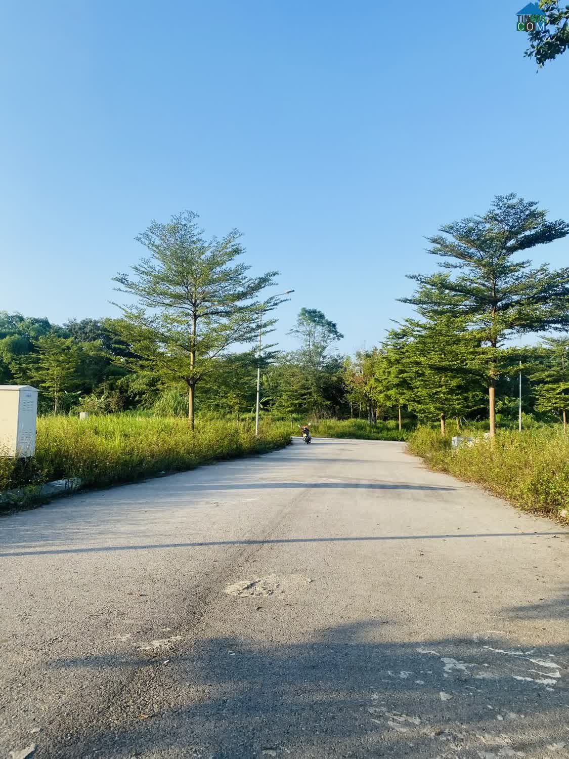 Ảnh Bán lô đất phân lô tại Vân Hội City, Đồng Tâm, Vĩnh Yên, Vĩnh Phúc 0