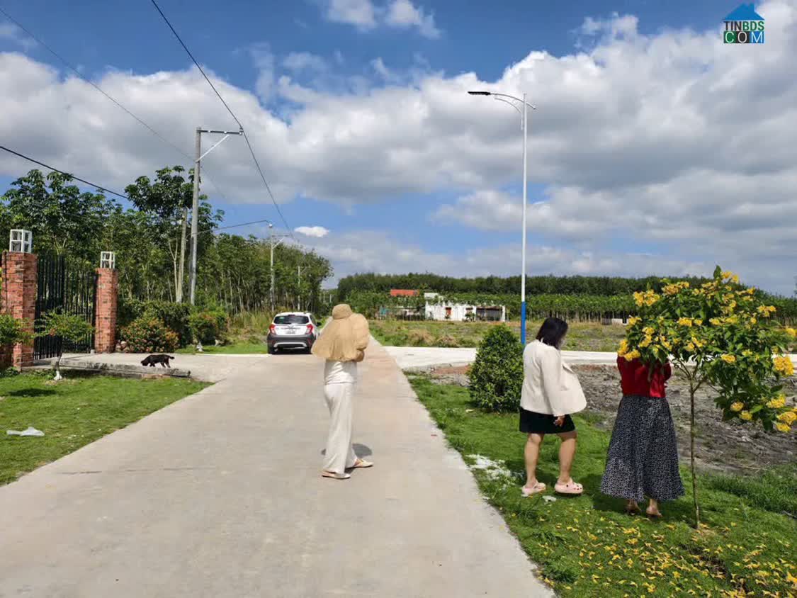 Ảnh Lối Đi Cho Nhà Đầu Tư Tài Chính Thấp/trung: 2