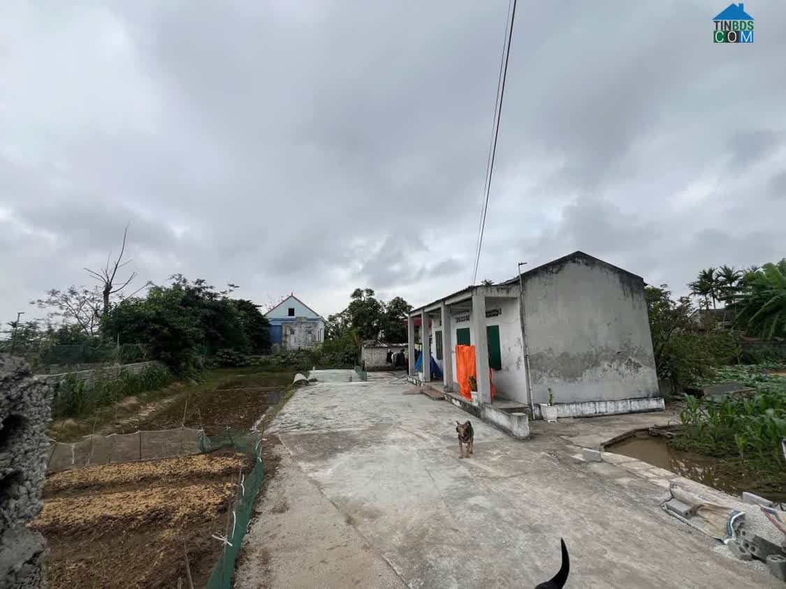 Ảnh Bán lô đất 73,6m² Đoàn xá – Giá 1,x tỷ Ngõ nhựa 4m Khu dân cư ZALO 0567 222 555 0