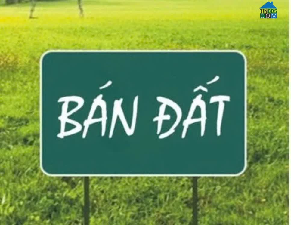 Ảnh Chính Chủ Bán Lô Đất Mặt Trục Chính Kinh Doanh – Đường Đinh Tiên Hoàng, Vĩnh Yên, Vĩnh Phúc 0