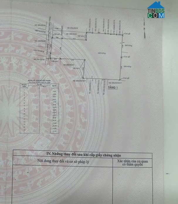 Ảnh Đất Trống DT Lớn Giáp KCN Tân Bình - Tiện Làm Kho Xưởng - Xe Tải Thông 0