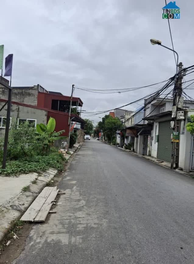 Ảnh Bán đất mặt đường Hàng Tổng Hải An Hải Phòng vị trí kinh doanh đẹp 0