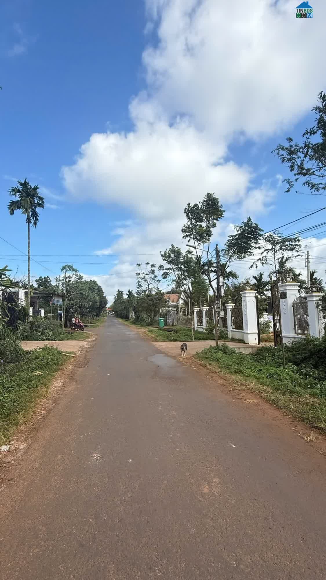 Ảnh Bán Đất Mặt Tiền Nguyễn Xuân Nguyên – 3 Lô Đẹp, Hàng Hiếm 0