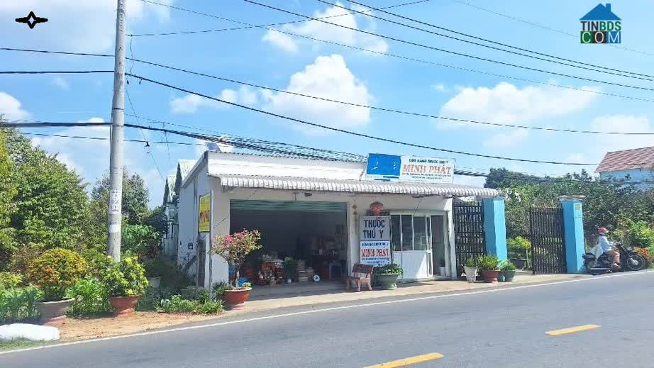 Ảnh Đất Thổ Cư Củ Chi Diện Tích Lớn 1800M2 Sổ Đỏ Chính Chủ Vị Trí Tiện Lợi Đầy Đủ Tiện Ích 0