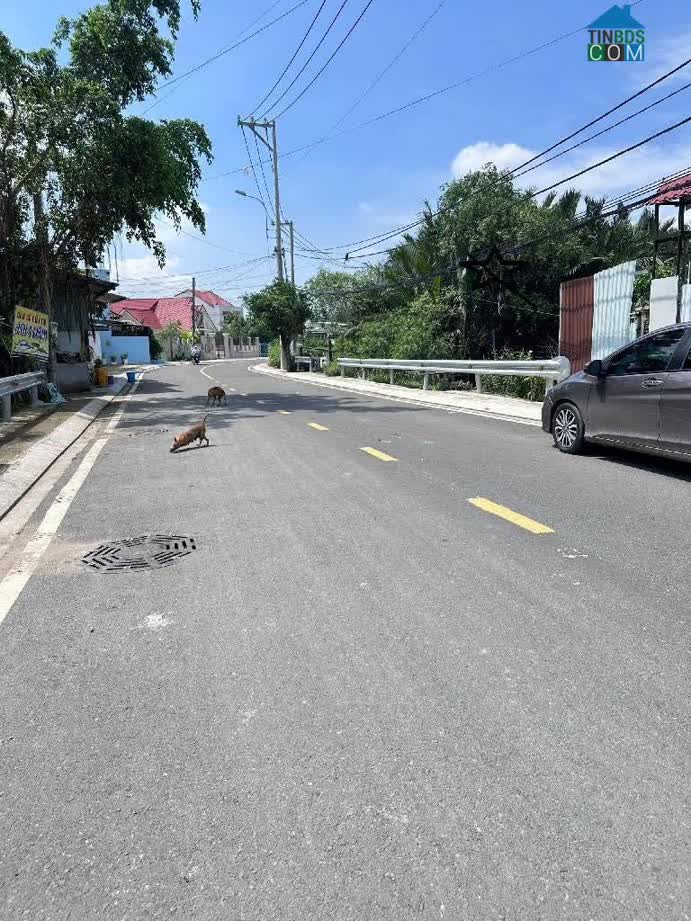 Ảnh Mặt Tiền Đường Nhựa 18M - 1,8 Hecta Phước Vĩnh An - Ngang 80M Khủng - Chỉ 50 Tỷ 0