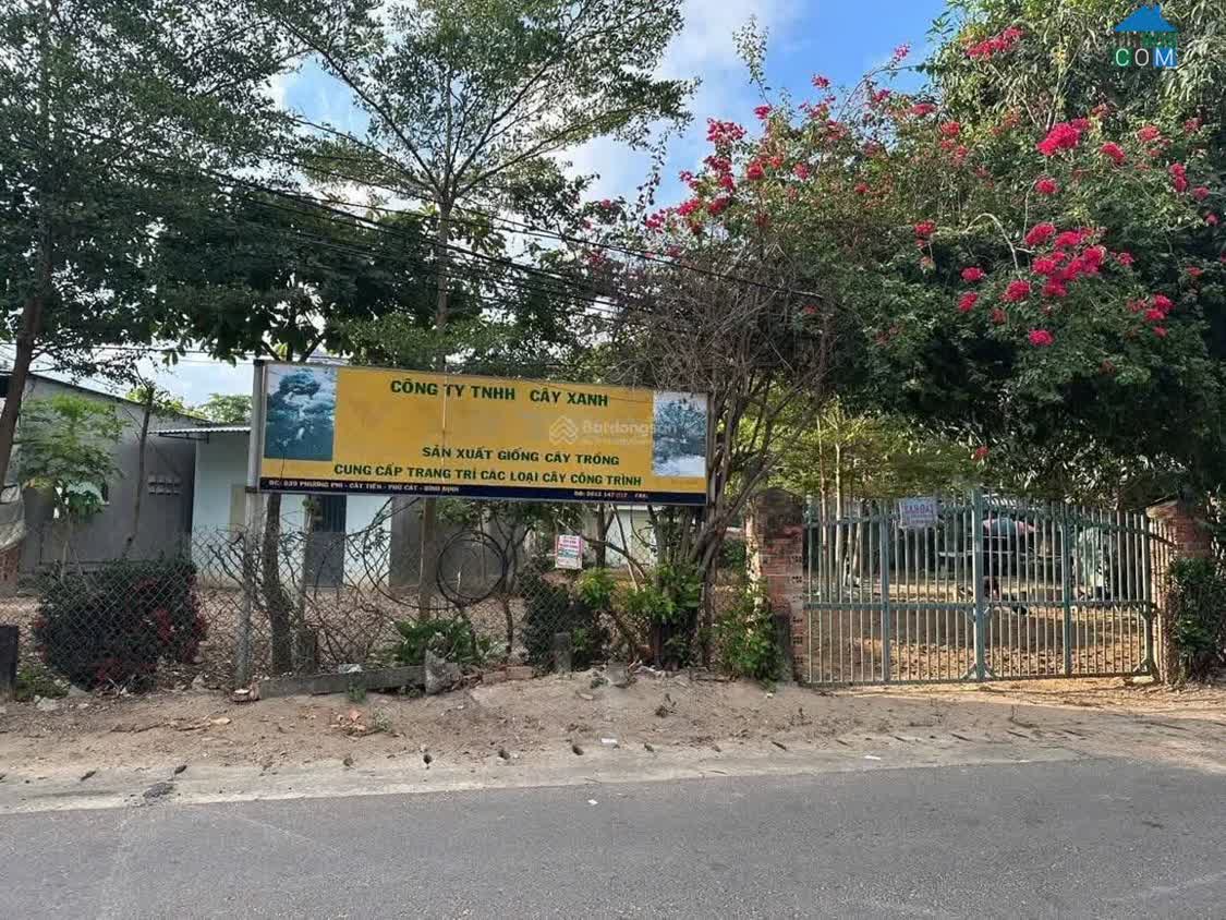 Ảnh Chính Chủ Bán Đất Mặt Tiền TL 639 – Cát Tiến – Phù Cát 0