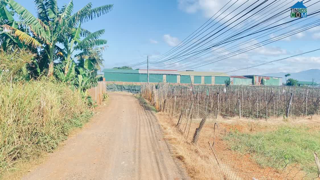 Ảnh 1400m2 mặt tiền đường hàn thuyên, view nhìn hồ nam sơn, đức trọng, lâm đồng 0