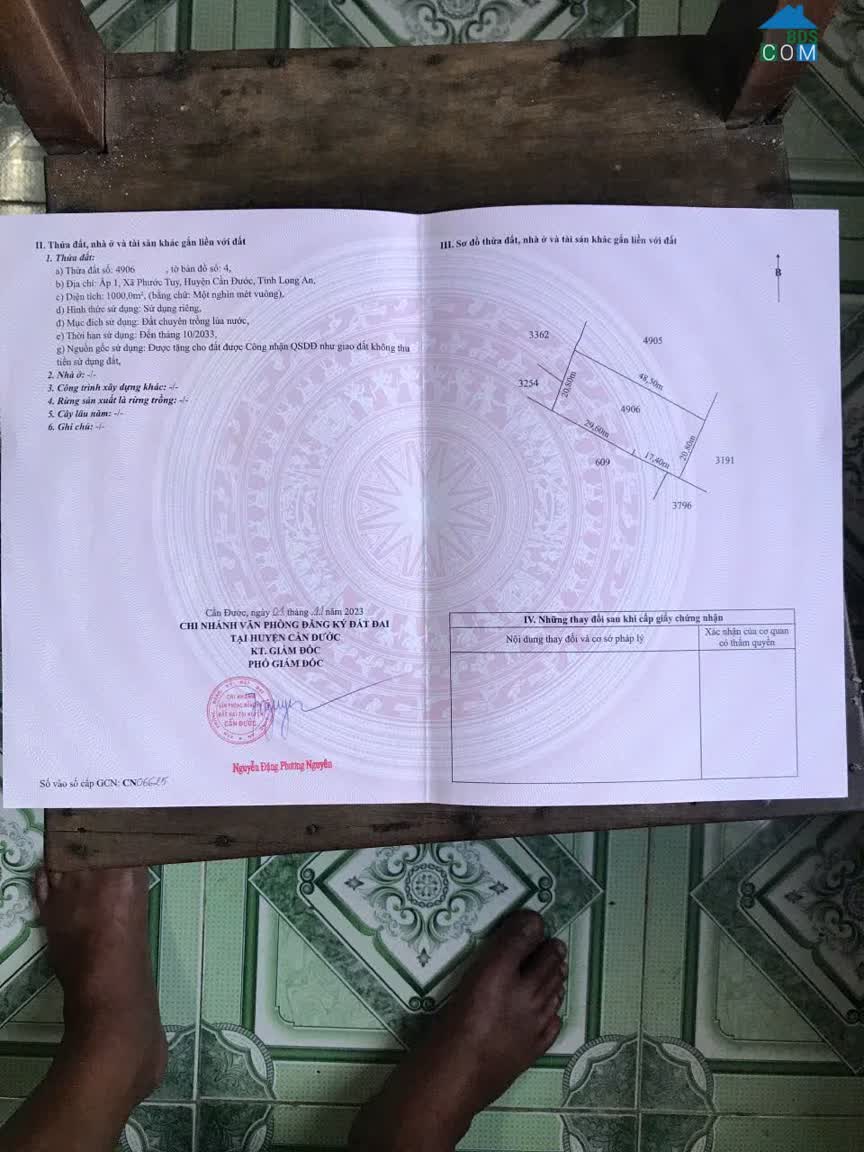 Ảnh Bán Đất Lúa – 1.000 M² Phước Tuy – Cần Đước – Long An 0