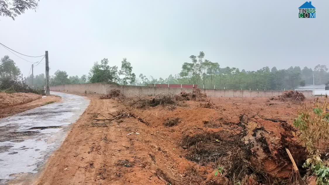 Ảnh Sở Hữu Ngay Lô Đất 535m² Vị Trí Vàng Tam Dương – Kết Nối Ic5 0