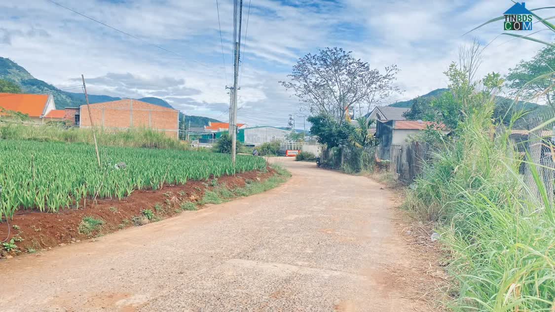 Ảnh Đất hẻm ql27, hiệp thạnh, phi nôm, pê tông 2 oto tránh nhau 0