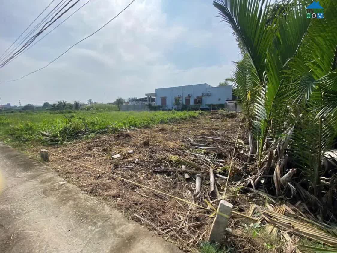 Ảnh Chính chủ bán đất sát chợ Cầu Tràm, Cần Đước, pháp lý rõ ràng 0