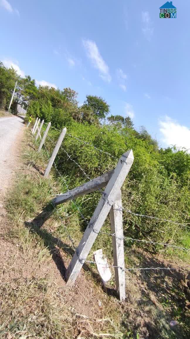 Ảnh Chính Chủ Bán Đất Mặt Tiền Đường Nguyễn Thìn – Xã Bình Ân, Gò Công Đông 0