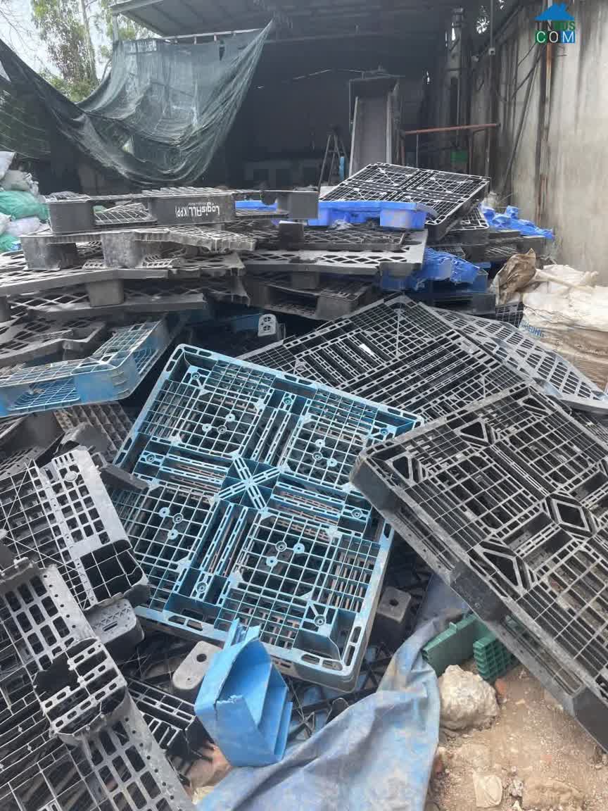 Ảnh Cần Thu Mua Ba Lết Nhựa, Số Lượng Lớn Không Giới Hạn 0