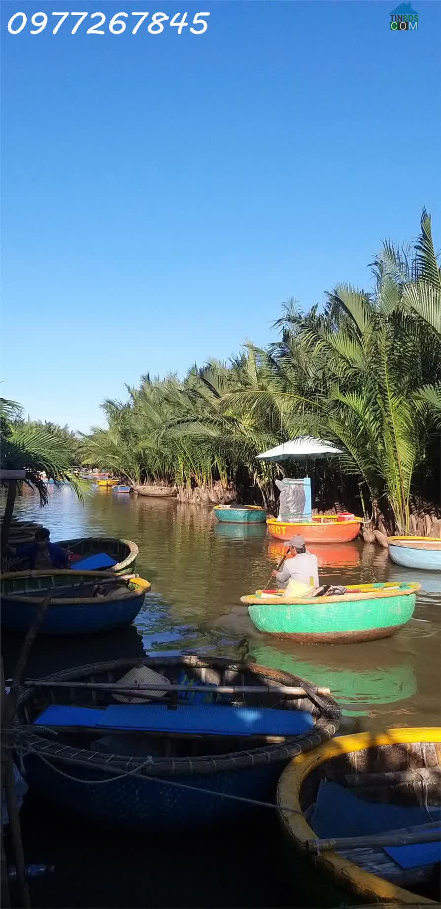 Ảnh Bán đất Cẩm Thanh khu vực rừng dừa bảy mẫu, DT 200m2, giá 40tr/m2 0