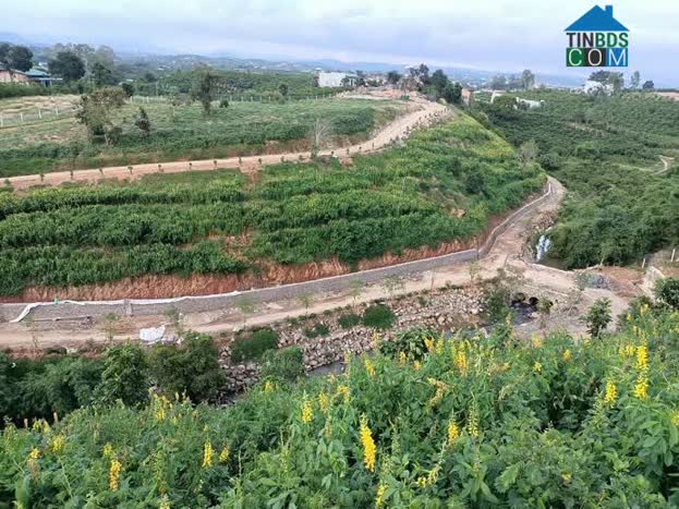 Ảnh (Chính Chủ) Tuyệt Phẩm Đất Sinh Thái Lâm Đồng – 2 Mặt Tiền – Suối Tự Nhiên 0