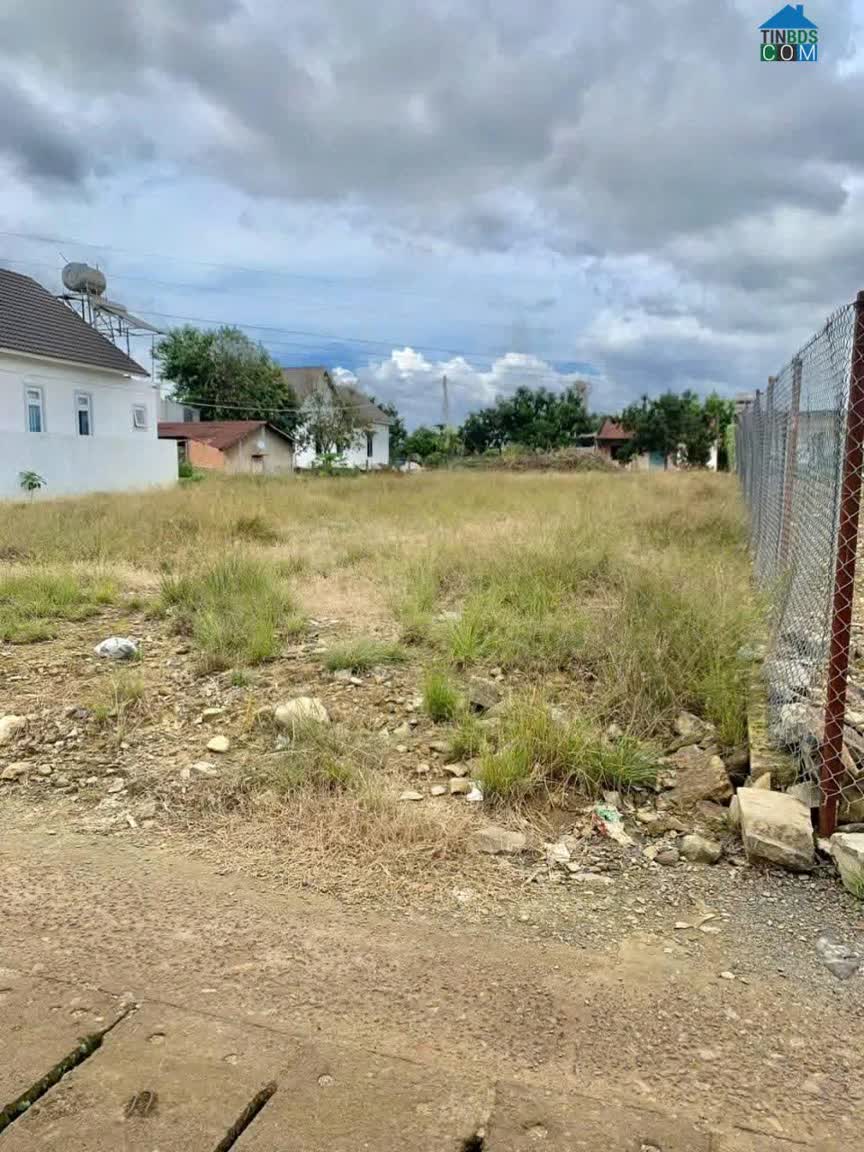 Ảnh Bán 726m2 đất Thị Trấn Liên Nghĩa - xã Đức Trọng - Lâm Đồng 0