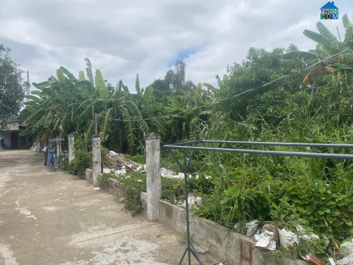 Ảnh Chính Chủ Bán Đất Diện Tích Lớn – Phường Mỹ Phước, TP Long Xuyên, An Giang 0