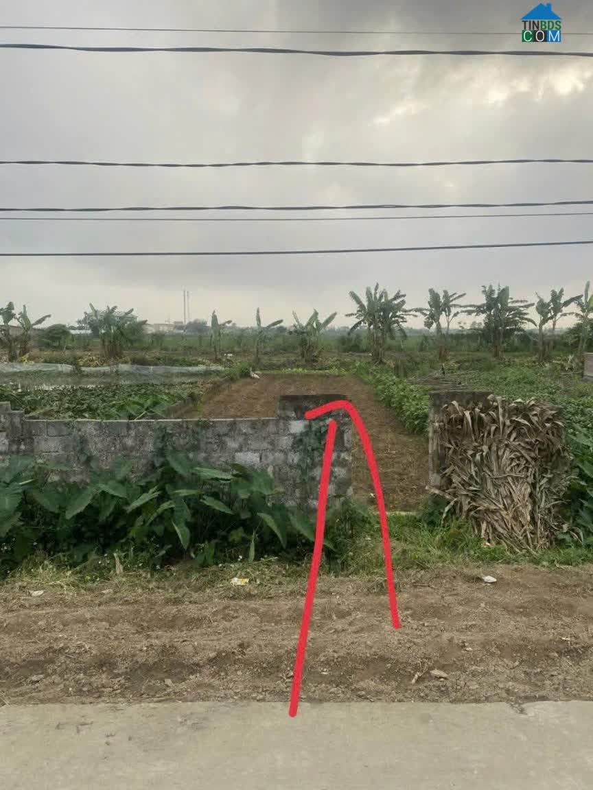 Ảnh Bán Nhanh Lô Đất Đẹp – Vuông Vắn - Giá Tốt – Hưng Hà, Thái Bình 0