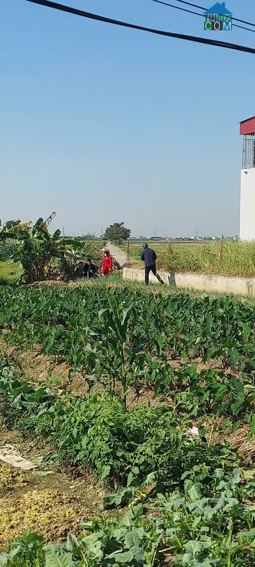 Ảnh Siêu Hót - Chính Chủ Bán Lô Đất Đẹp – Vuông Vắn – Hưng Hà, Thái Bình 0