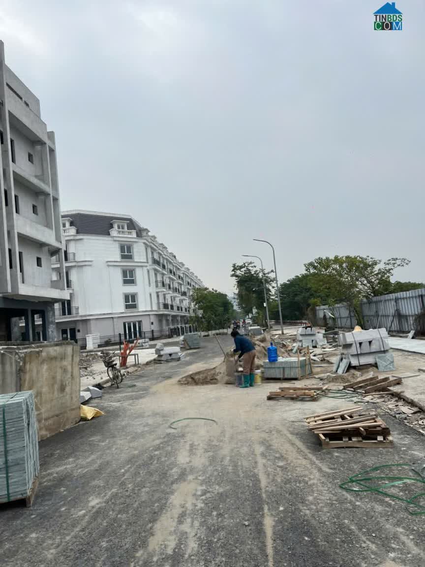 Ảnh Bán Shophouse TQ5 Trâu Quỳ, Gia Lâm. 75M2 5 Tầng, View Trường Hbán Shophouse TQ5 Trâu Quỳ, Gia... 0