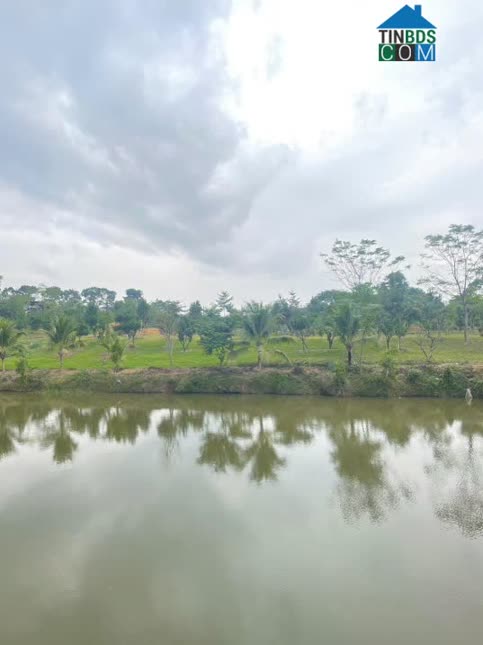 Ảnh Cần bán 100m2, full thổ cư, xã Đoài Phương, Cổ Đông, Sơn Tây, Hà Nội 0