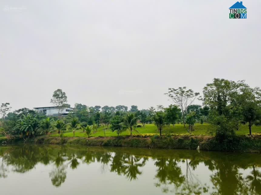 Ảnh Chính thức mở bán khu đất vàng cực kỳ hấp dẫn 0