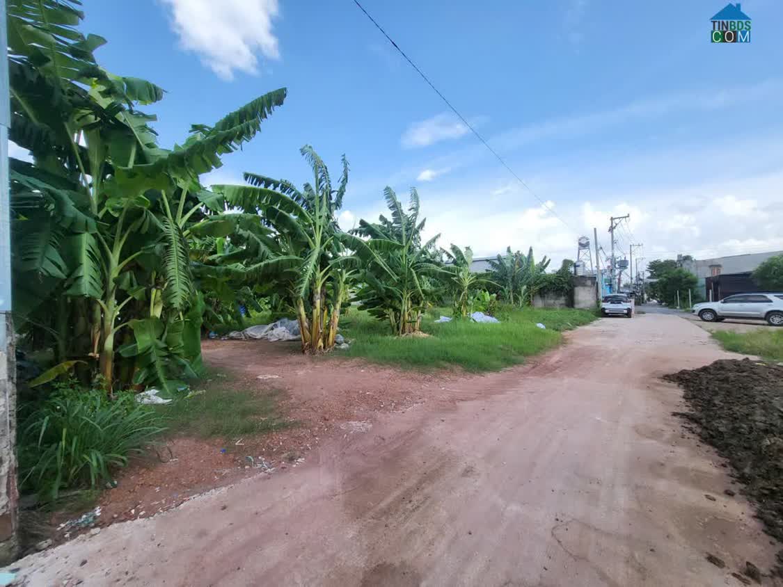 Ảnh Lô Đất Đẹp Gần Chợ Đầu Mối Xuân Thới Thượng – Hóc Môn- TPHCM 0
