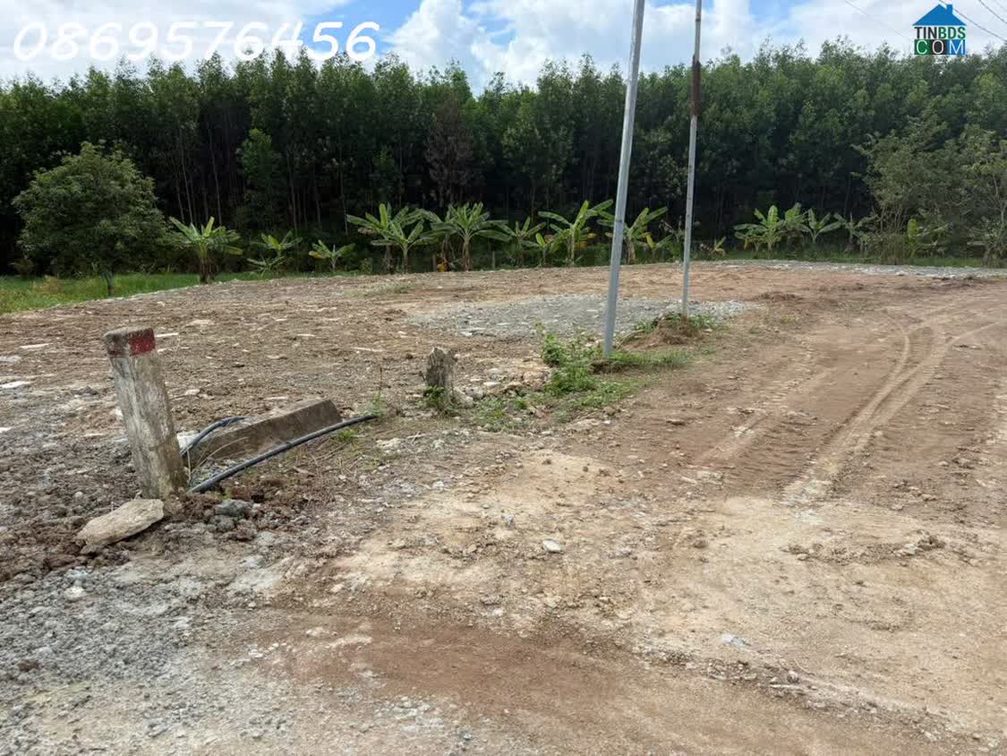 Ảnh Mở Bán Đất Phân Lô Siêu Rẻ Tại Khánh Hoà 0