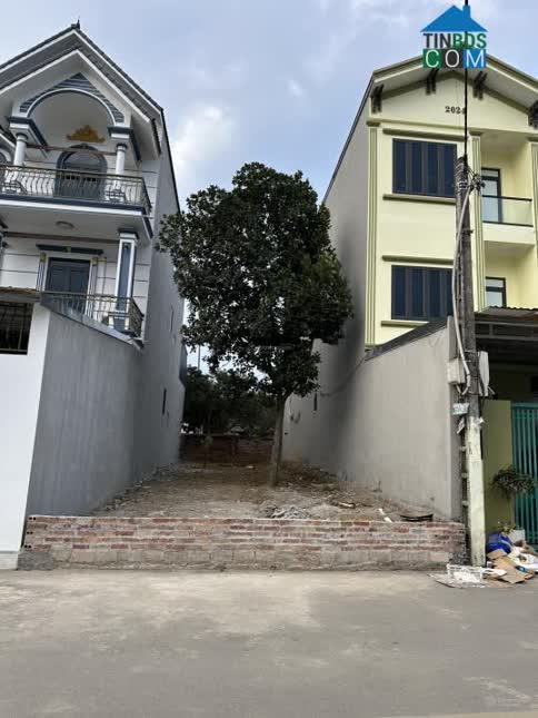 Ảnh Bán đất trục chính Cổ Đông, Sơn Tây 100m2 full thổ cư gần QL21, ĐHQG - CNC Hoà Lạc, giá 2,8 tỷ 0