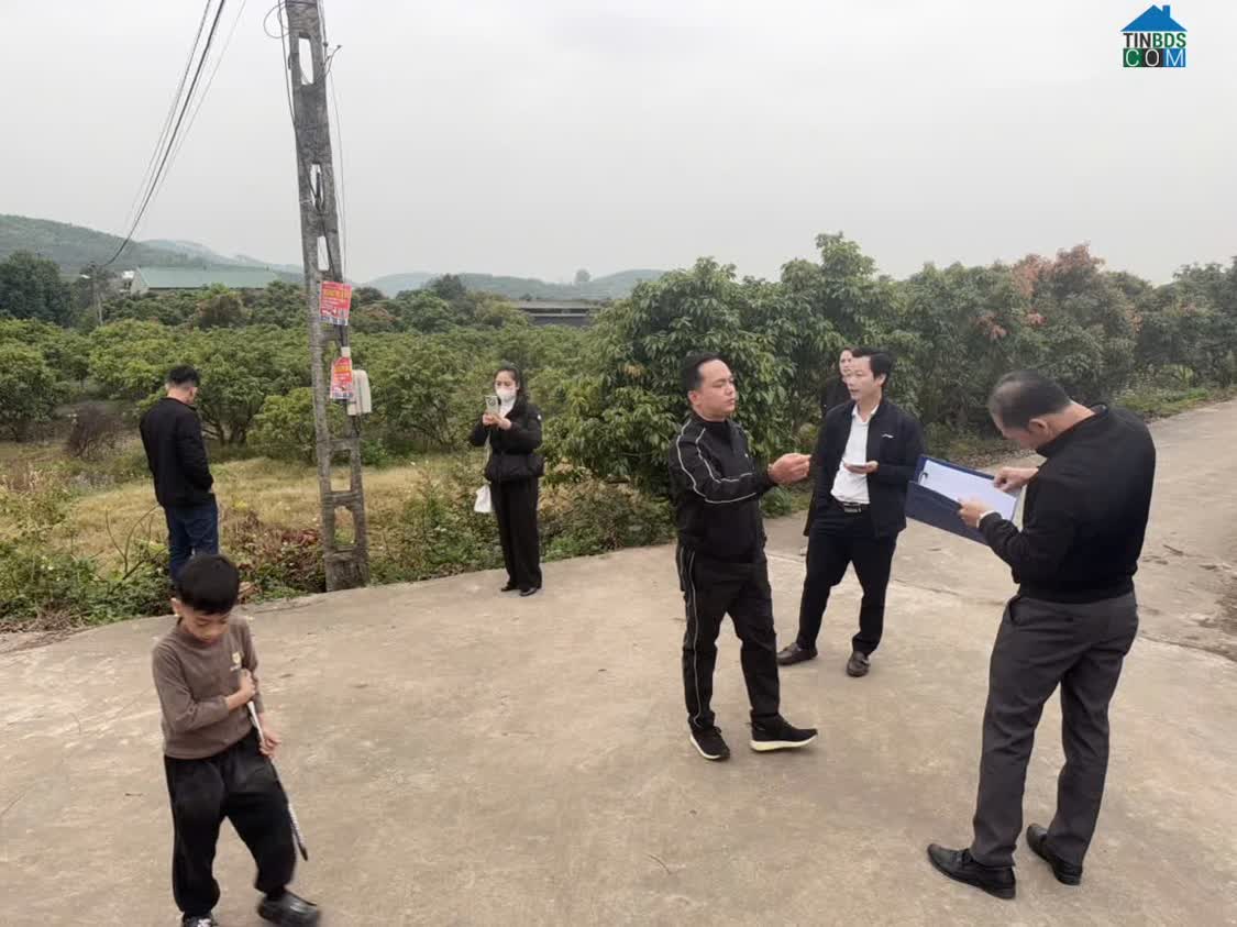 Ảnh Đất Nền Chũ Bắc Ninh Giá 630 Triệu 500M2 Vị Trí Đẹp Nguyễn Hùng Bđs - 0989333012 0