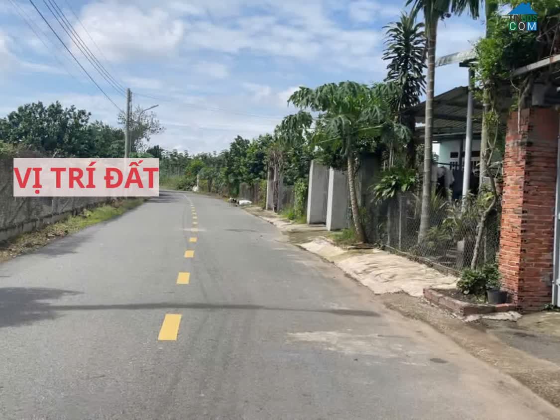 Ảnh Bán đất mặt tiền đường nhựa có sẵn vườn bưởi tại Trừ Văn Thố Bàu Bàng Bình Dương 0