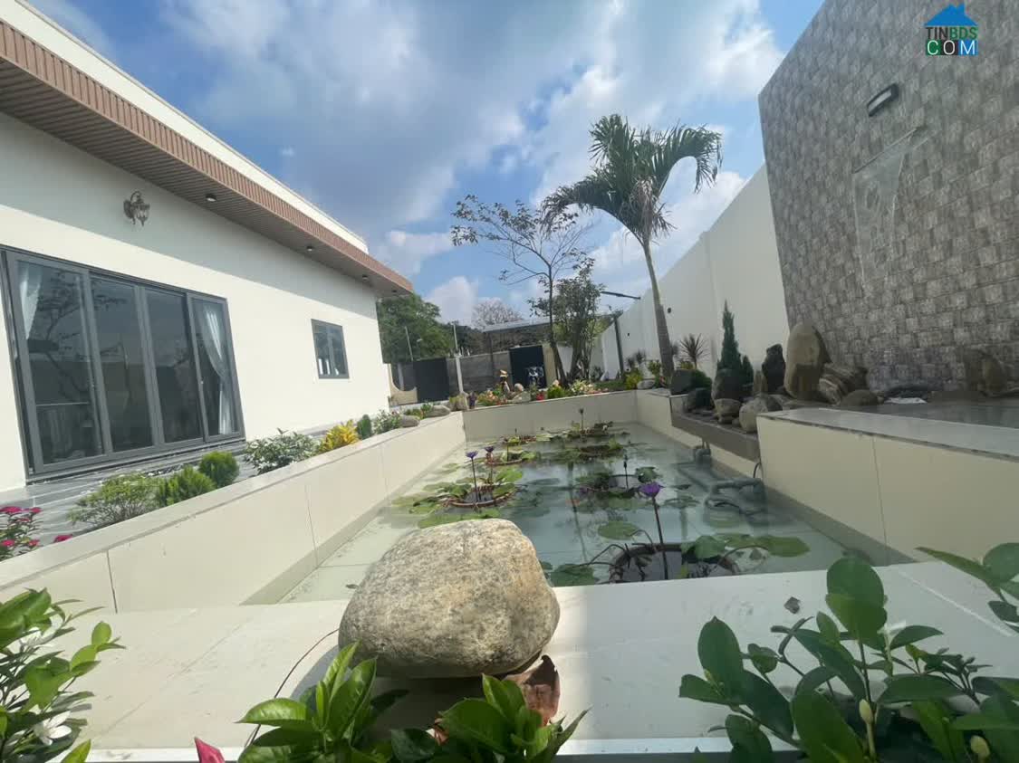 Ảnh Bán Nhà Vườn Gần Chợ Gò Đen – Vào Ở Ngay 3,7 Tỷ, SHR 0