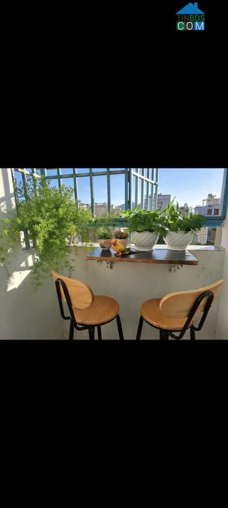 Ảnh BÁN CĂN HỘ CHUNG CƯ LÔ B – 199 NAM KỲ KHỞI NGHĨA 2