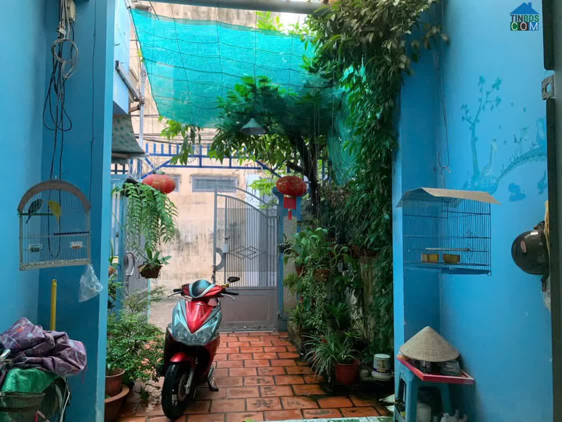 Ảnh Chính Chủ Bán Nhà Cấp 4 – Phường 7, Tp. Vũng Tàu 0