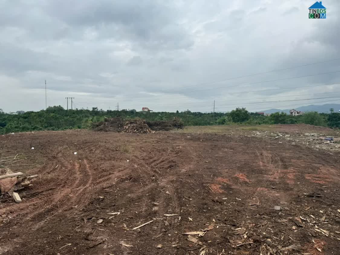 Ảnh Đất Nền Chũ Bắc Ninh Giá 480 Triệu 400M2 Đầu Tư Sinh Lời Nguyễn Hùng Bđs - 0989333012 0