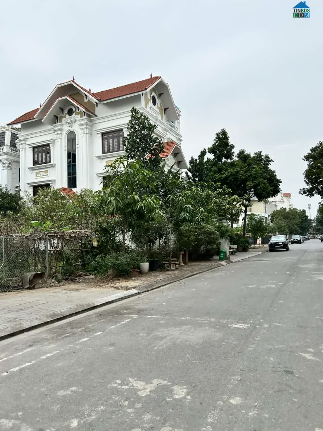 Ảnh Bán đất biệt thự khu đấu giá 31ha Trâu Quỳ/Gia Lâm 236m2 đường to vị trí đẹp kinh doanh 0