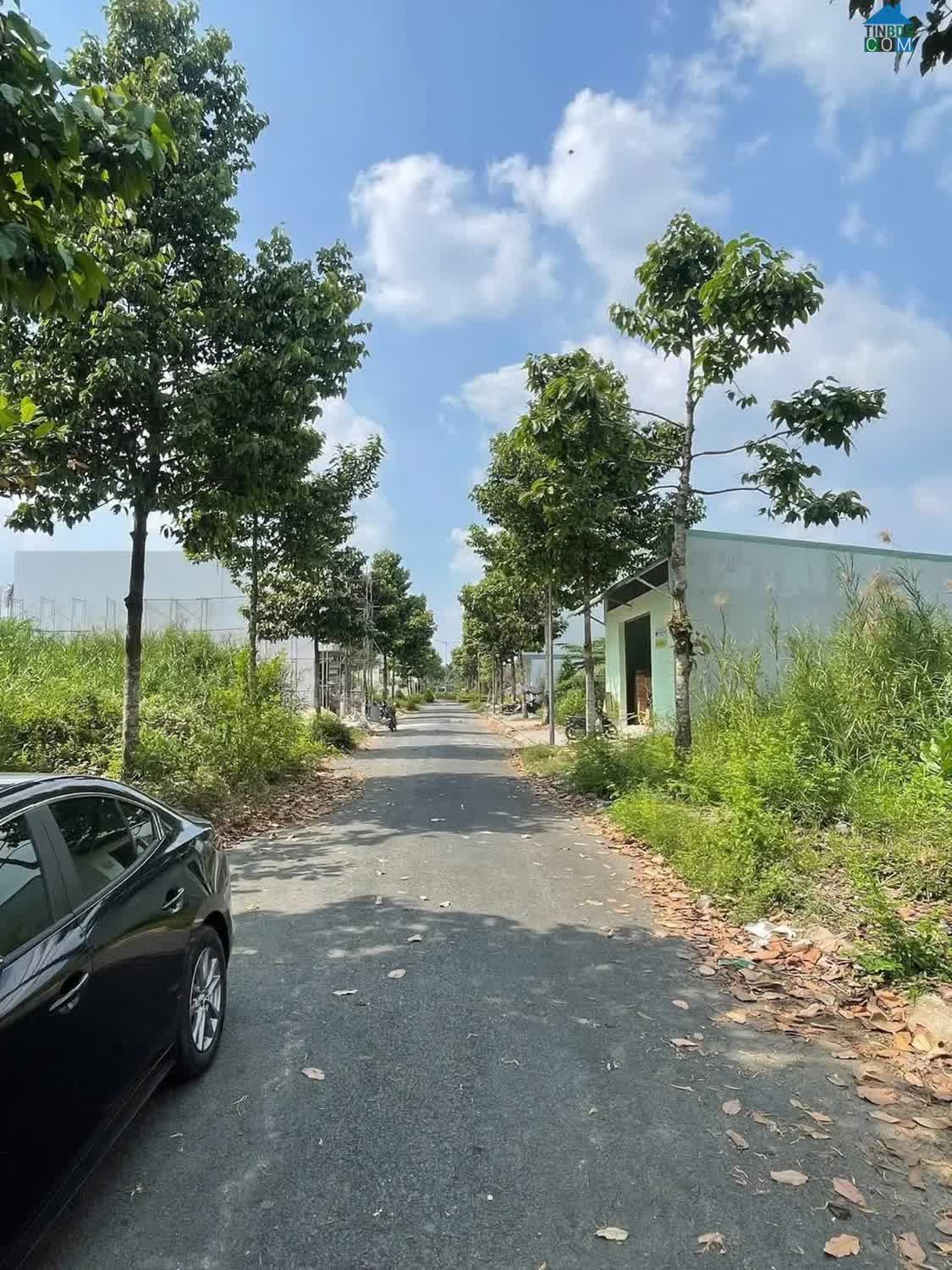 Ảnh Chốt Nhanh Trước Tết – Đất 5x30 – Trung Tâm Thủ Dầu Một 0