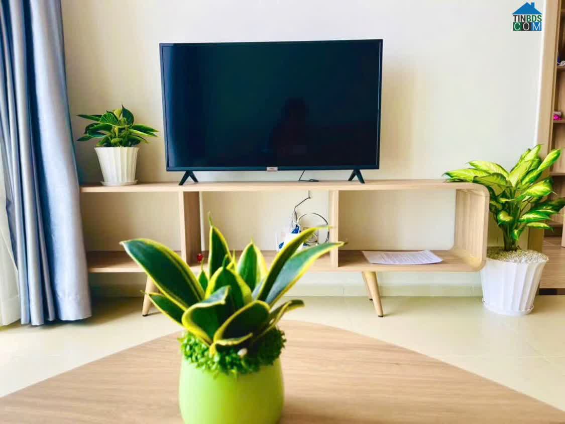 Ảnh Chính Chủ Cần Bán Gấp Căn Hộ Biển Cao Cấp Vũng Tàu 0