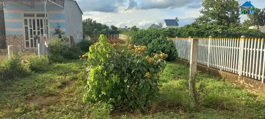 Ảnh 1300m2 hẻm đối diện trường cấp 3 hoàng hoa thắm, n'thôn hạ, đức trọng cũ, lâm đồng 0