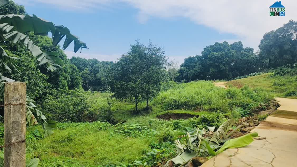 Ảnh "hàng Hiếm" Lương Sơn: Quỹ Đất 4,4 Héc-Ta – Pháp Lý Chuẩn – Giá Tận Gốc 0